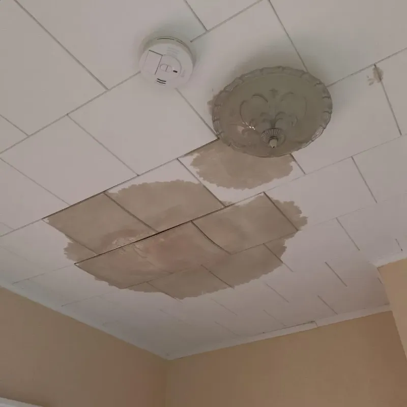 Ceiling Water Damage Repair in Ellisville, MS