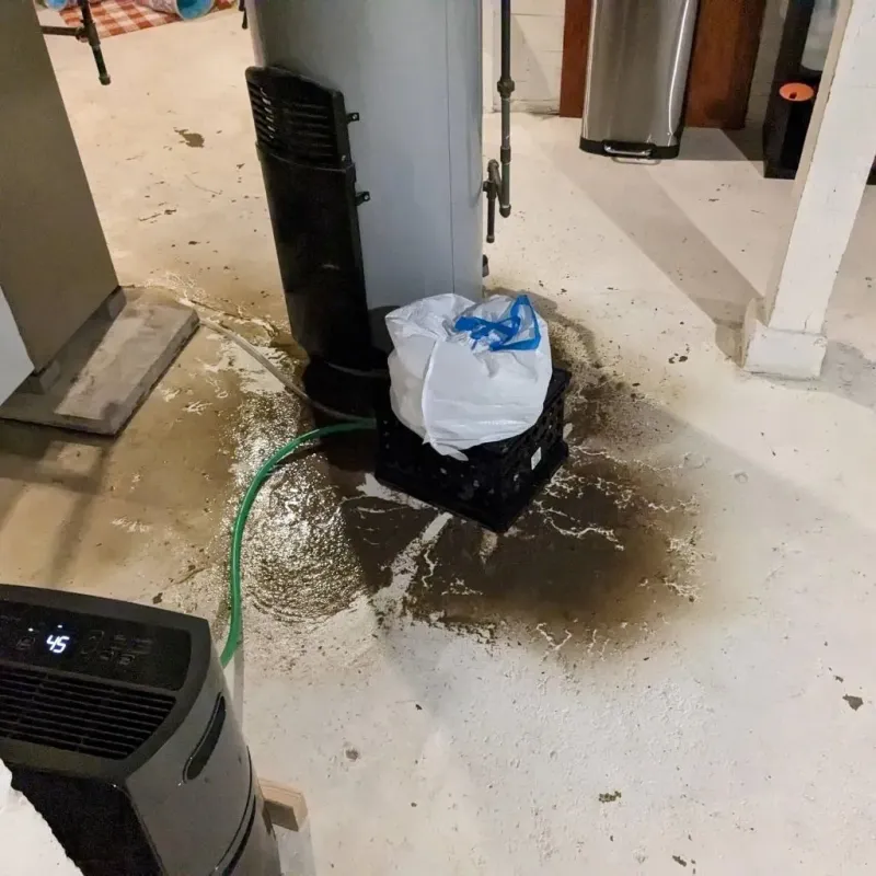 Sewage Backup Cleanup Service in Ellisville, MS